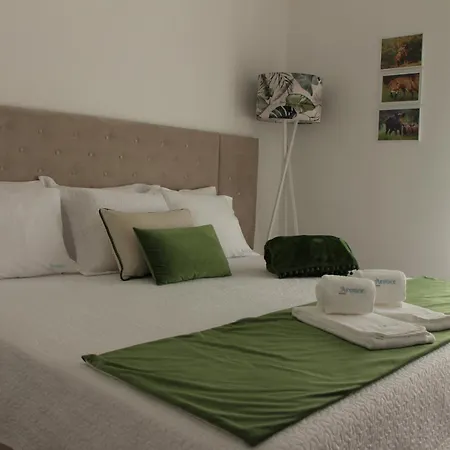 Aroucehostel Hostel